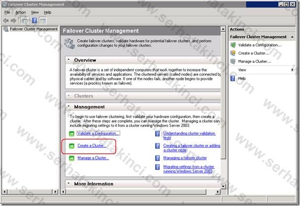 clip_image013