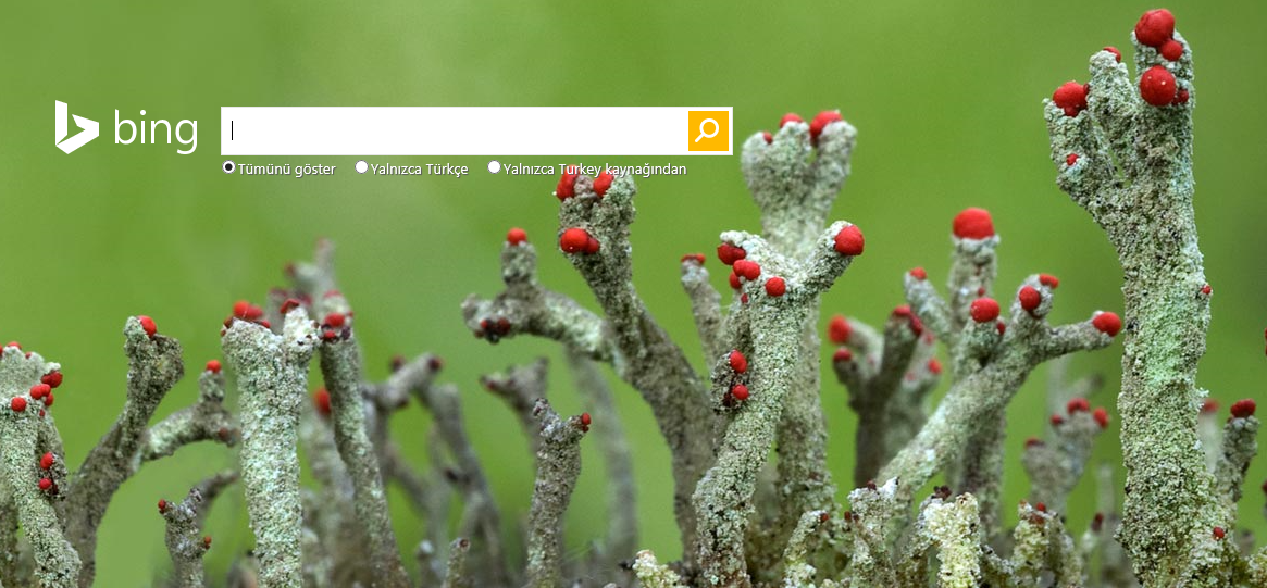Bing fotoğrafları 2013 Duvar Kağıdı ve Ekran Koruyucu Serhat AKINCI